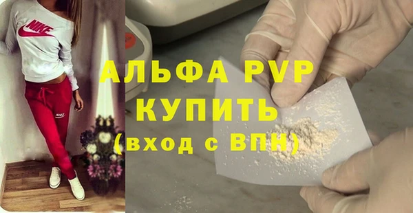 индика Арсеньев