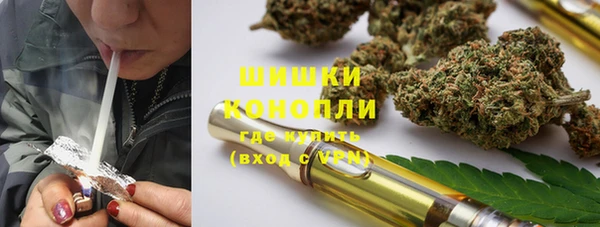 индика Арсеньев
