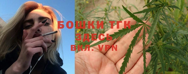 индика Арсеньев