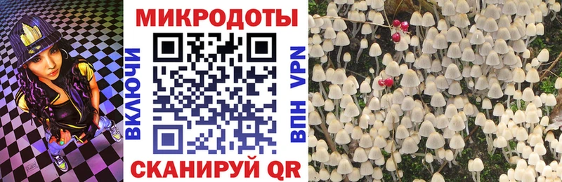 Псилоцибиновые грибы прущие грибы  дарк нет официальный сайт  Новомосковск 